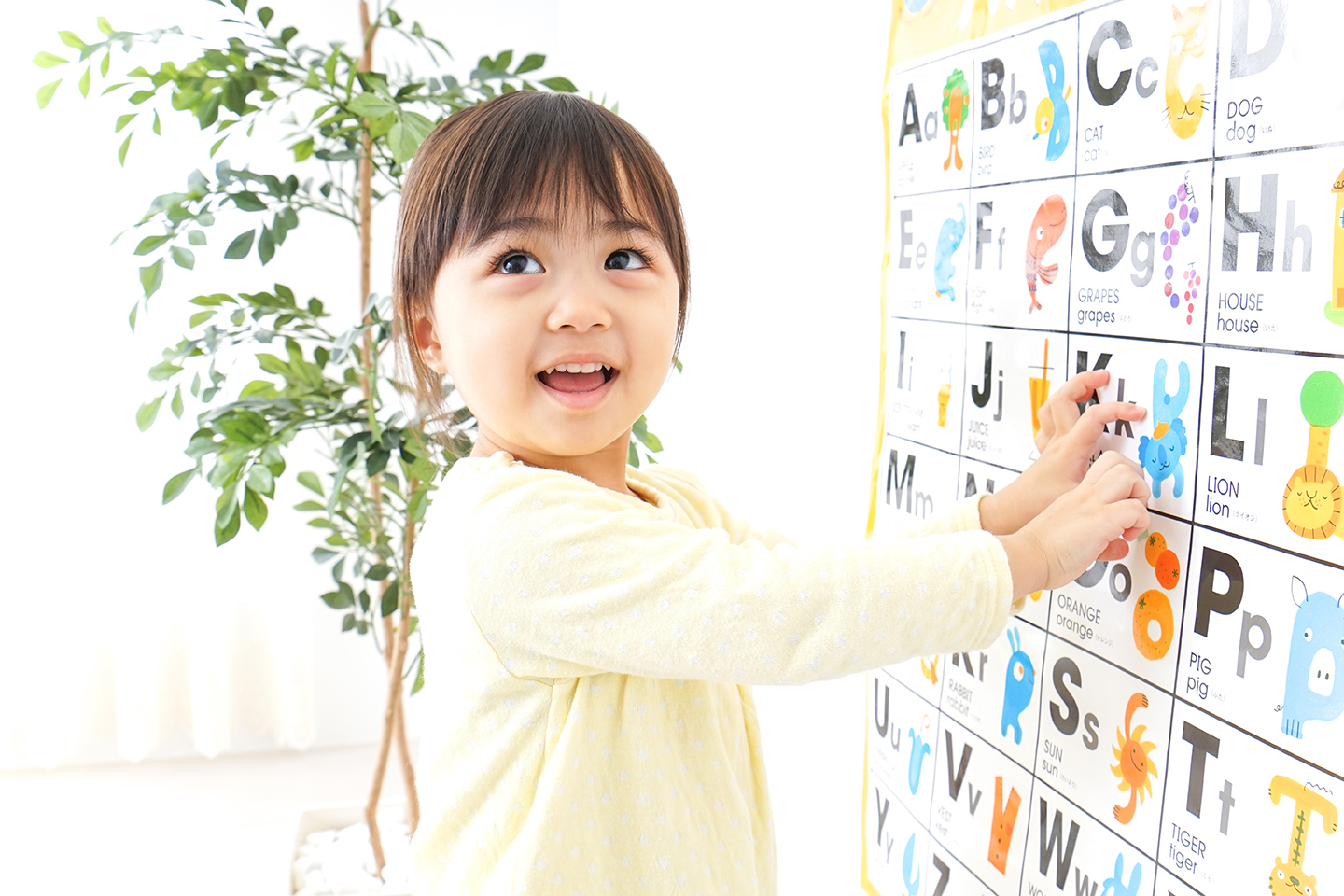 Sistemas de ensino website preview